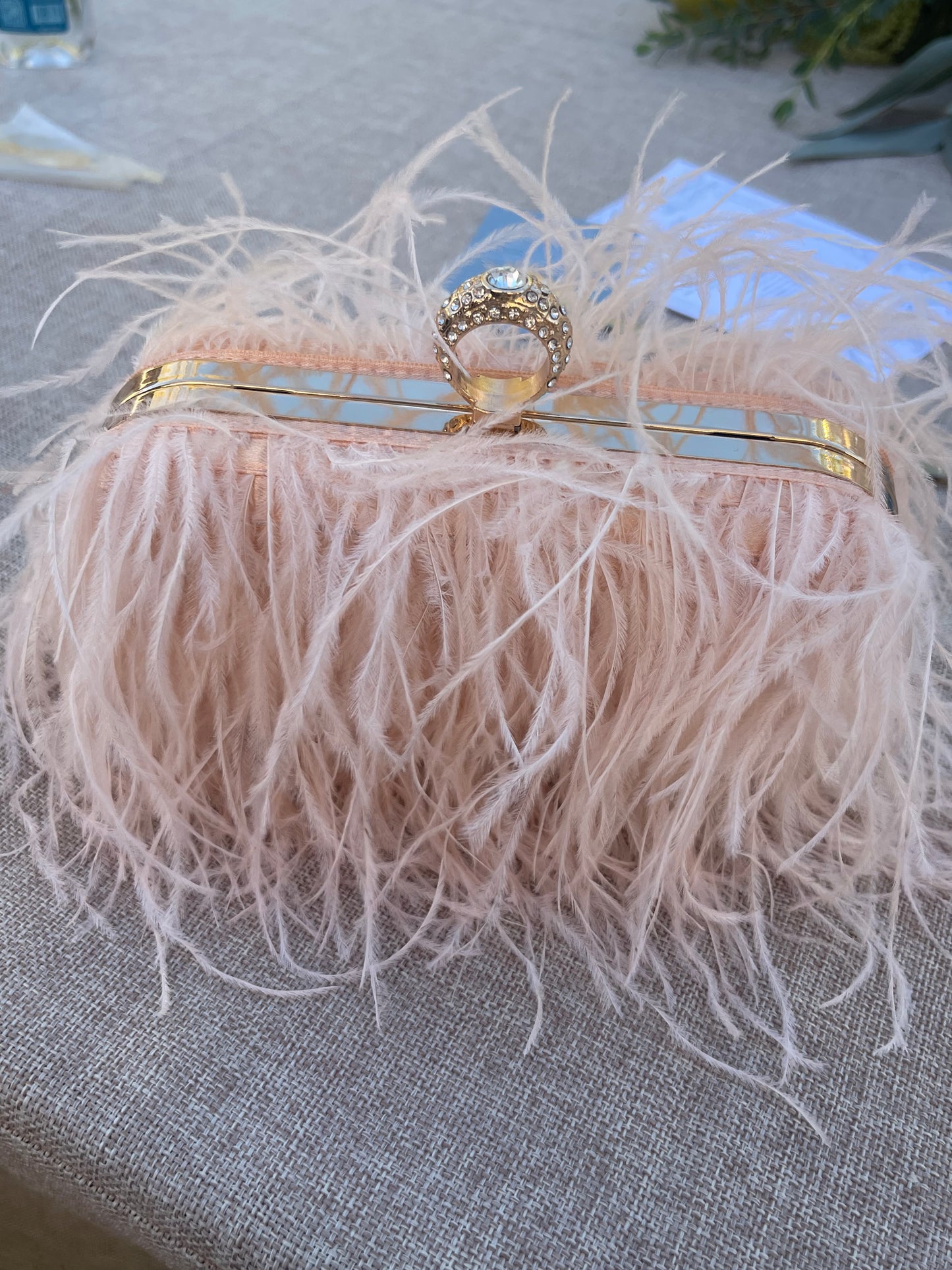 Cartera de piel/plumas de avestruz