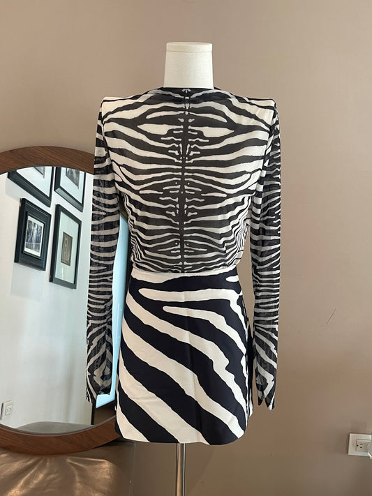 Conjunto de blusa manga larga de malla y mini falda en estampado de zebra